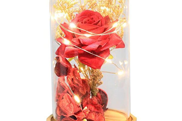 peanelife Hediyelik Ürün