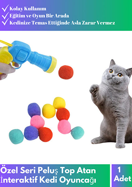 Wintoup Kedi Oyuncakları