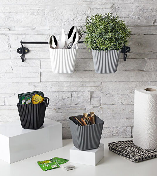 LTG Nova Avadanlık, Organizer