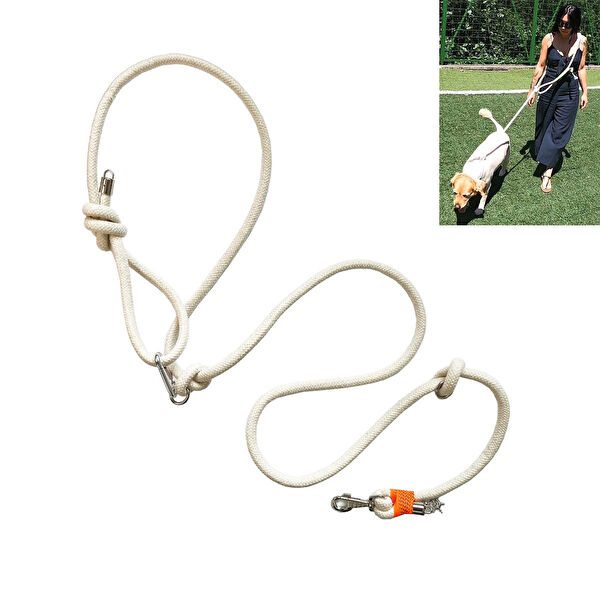 Petswuu Köpek Tasmaları