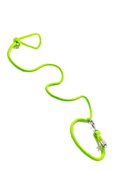 Petswuu Köpek Tasmaları