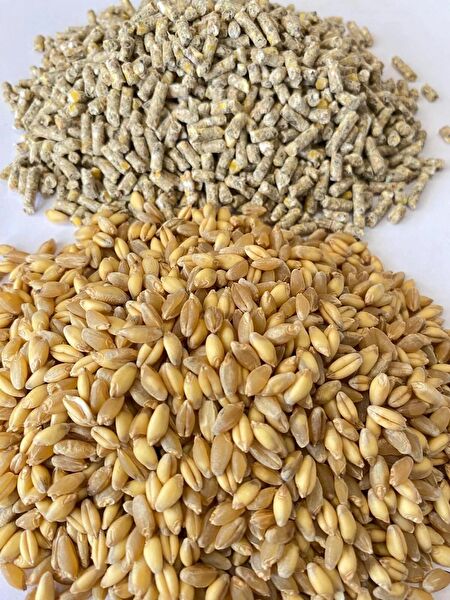 Şenler Zahire Kuş Yemi, Kraker