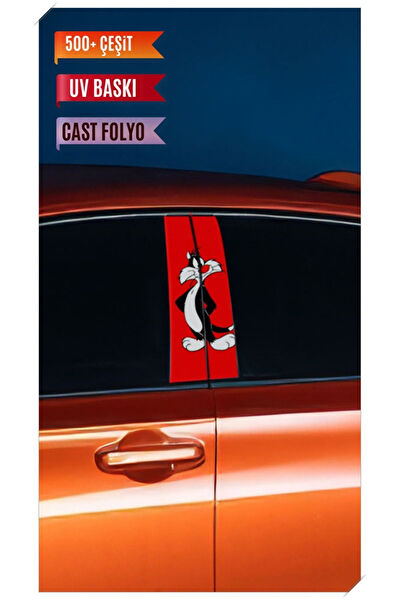 Pi Dekorasyon Oto Uygulama Ürünleri ve Setleri