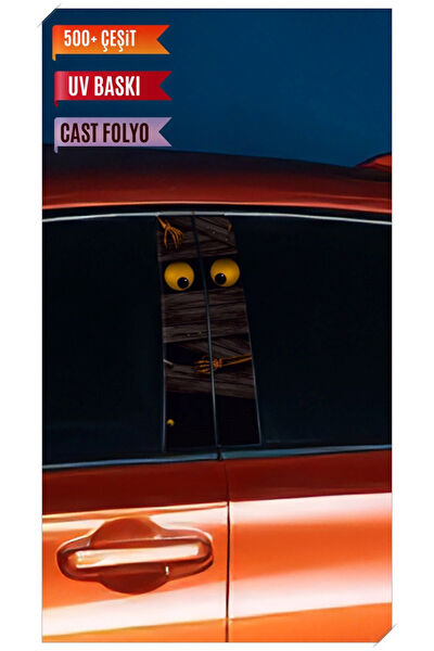 Pi Dekorasyon Oto Uygulama Ürünleri ve Setleri