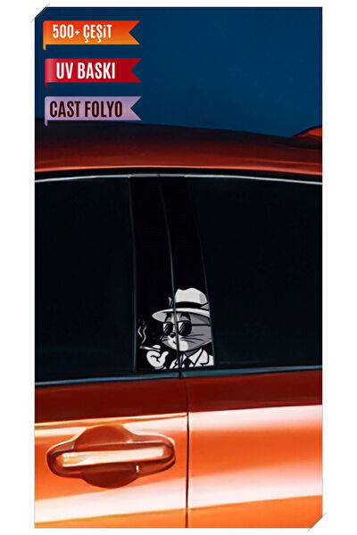 Pi Dekorasyon Oto Uygulama Ürünleri ve Setleri