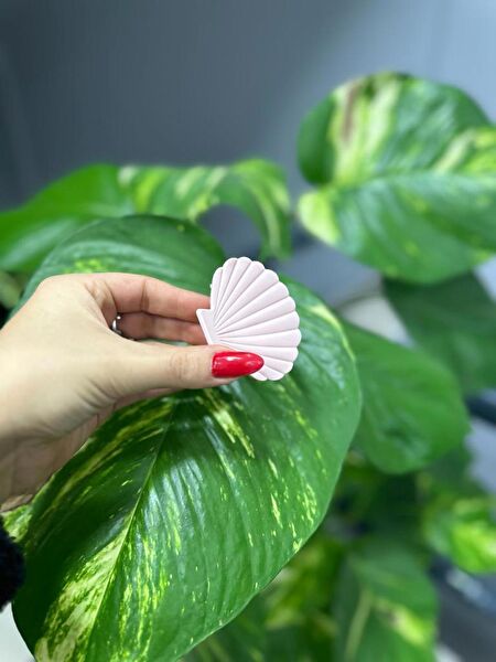 Duygum aksesuar Kadın Saç Tokaları ve Yüzükleri