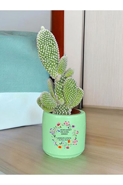 Dekozayn Home Hediyelik Ürün