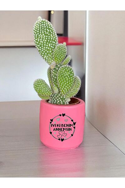 Dekozayn Home Hediyelik Ürün