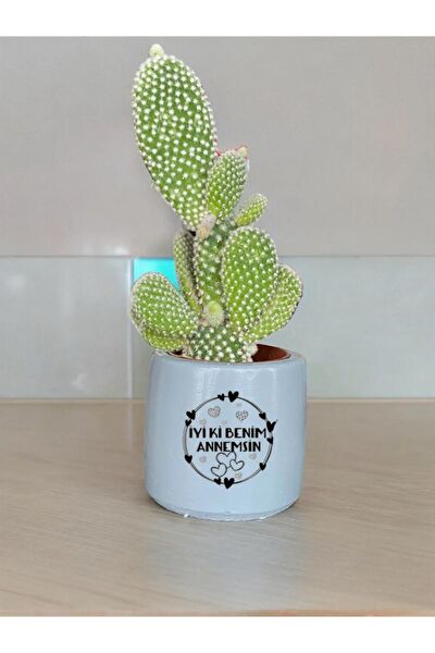 Dekozayn Home Hediyelik Ürün