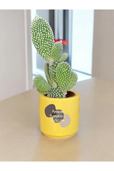 Dekozayn Home Hediyelik Ürün