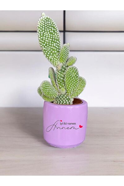 Dekozayn Home Hediyelik Ürün