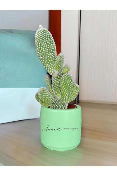 Dekozayn Home Hediyelik Ürün