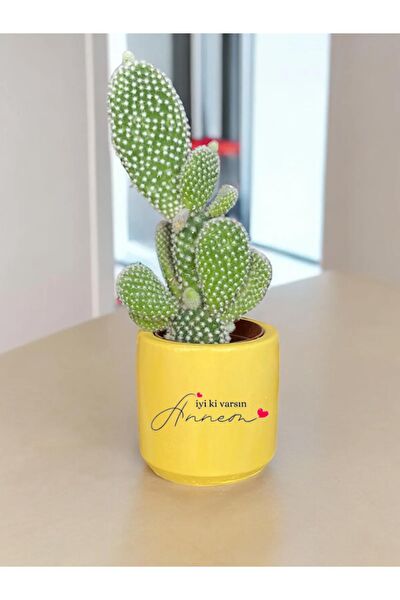 Dekozayn Home Hediyelik Ürün