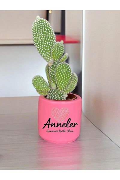 Dekozayn Home Hediyelik Ürün