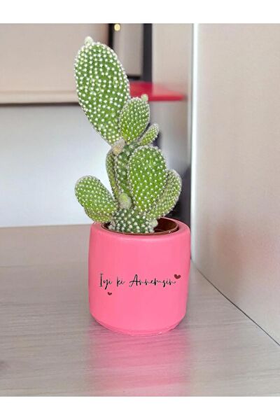 Dekozayn Home Hediyelik Ürün