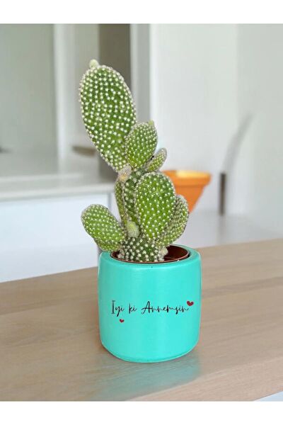 Dekozayn Home Hediyelik Ürün