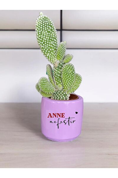 Dekozayn Home Hediyelik Ürün