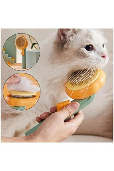 Tineke Kedi Tarak, Fırça, Makas