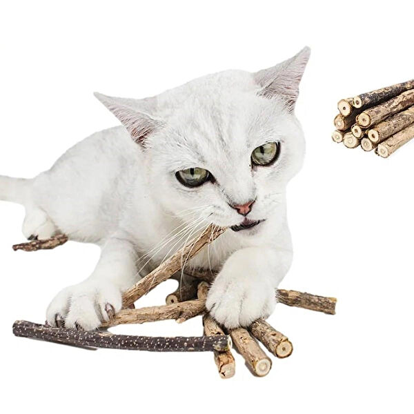 Tineke Kedi Oyuncakları