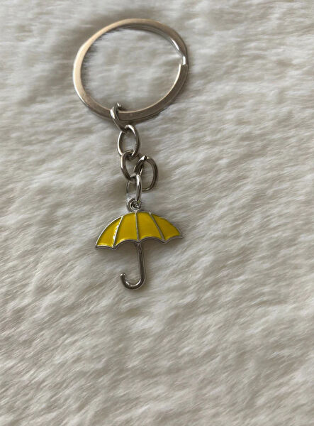 Diğer Pi Sistemler Anahtarlık