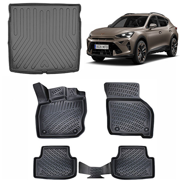 Rizline Oto Paspası