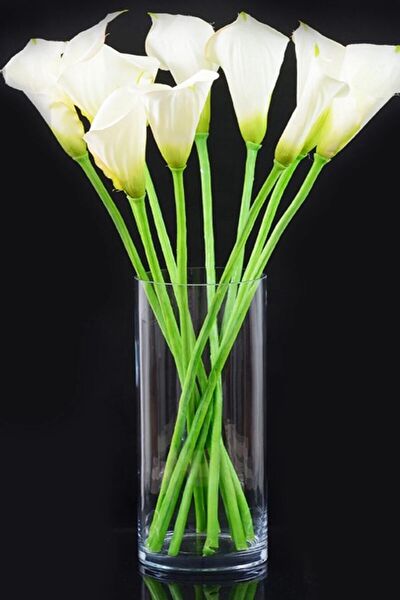 Paşabahçe Vazo, Saksı