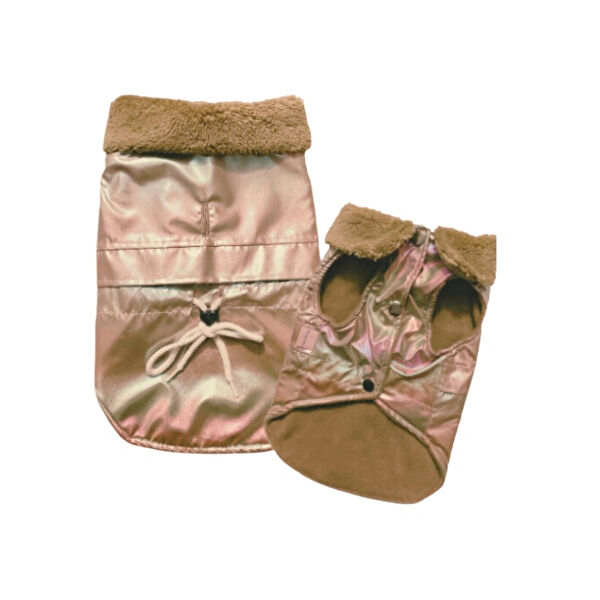 Gedyco Köpek Elbisesi