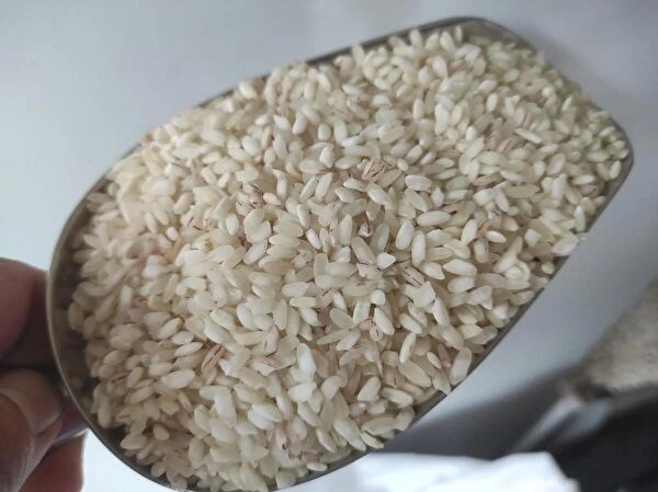 Dökme Ürünler Bakliyat