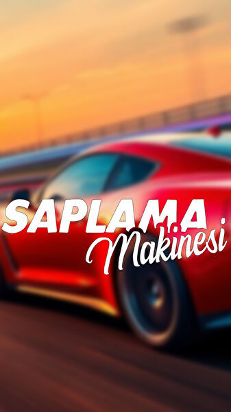 Sts Oto Aksesuar Arma Sticker