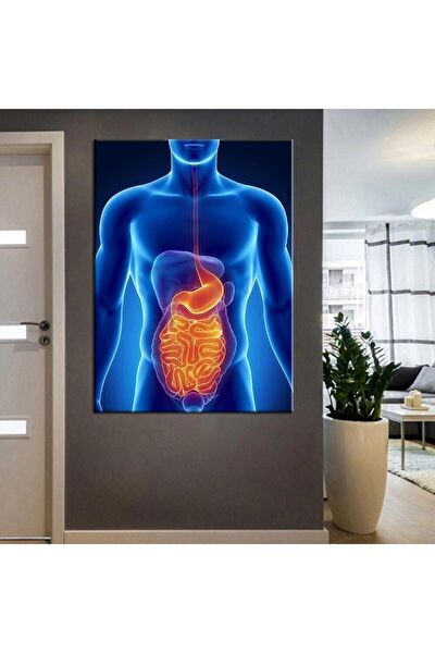 Kanvassepetinet Kanvas Tablo