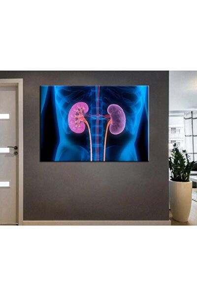 Kanvassepetinet Kanvas Tablo