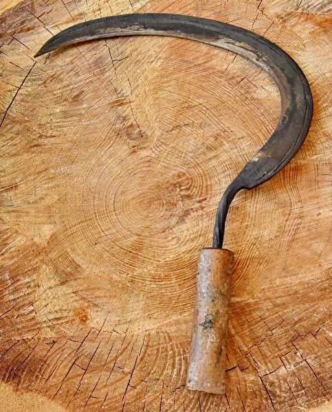 Tapan Bıçağı Orak