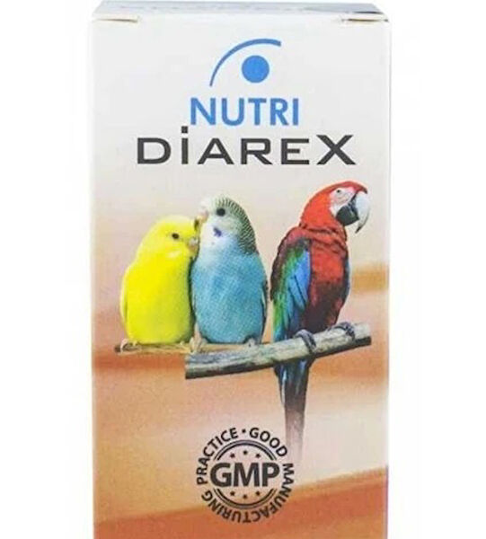 Skygo Köpek Mama ve Su Kapları