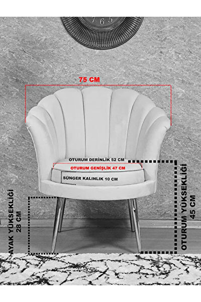 Zafir Berjer, TV Koltuk