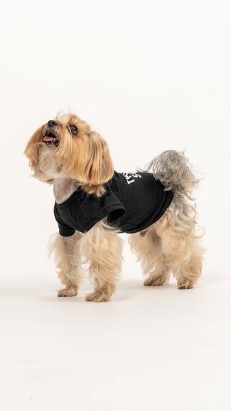 Petizan Köpek Elbisesi