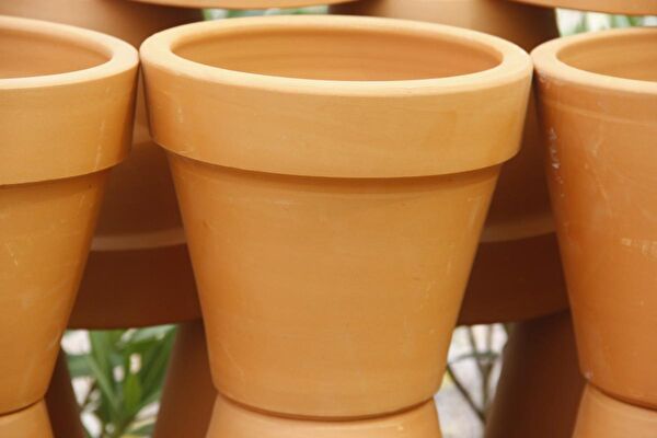 Tunç Botanik Saksı