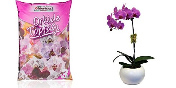 Tunç Botanik Torf ve Toprak