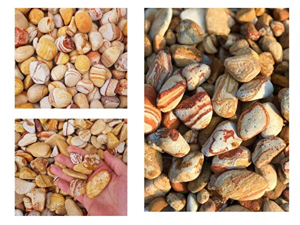 Tunç Botanik Torf ve Toprak