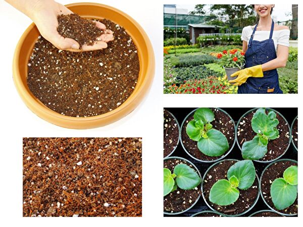 Tunç Botanik Torf ve Toprak