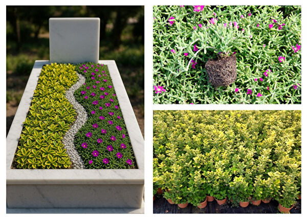 Tunç Botanik Bahçe Seti