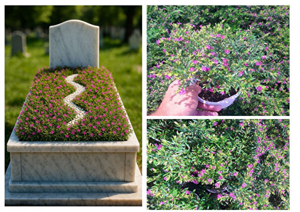 Tunç Botanik Bahçe Dekoratif Ürünleri