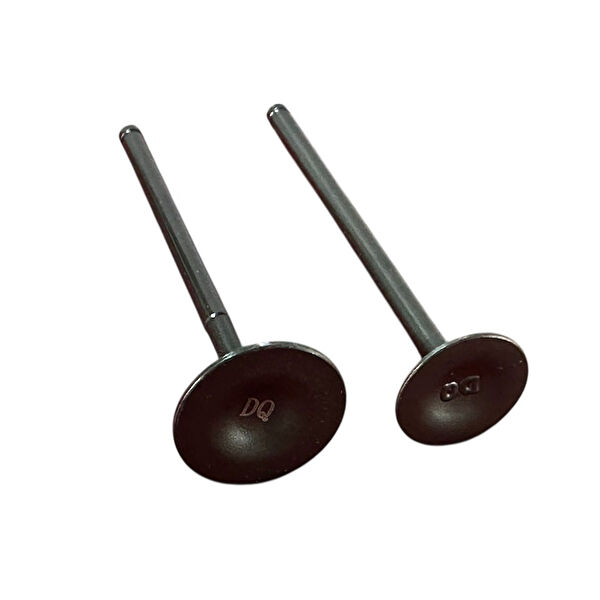 Monero Krank, Piston ve Contalar