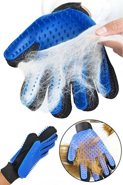 Skygo Kedi Tuvalet Eğitimi