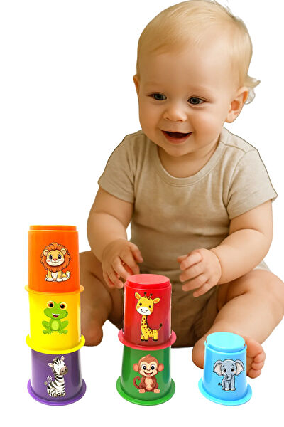 Toysnet Eğitici Oyuncaklar