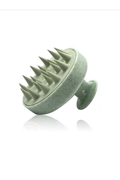 Vitaörgü Tarak, Fırça