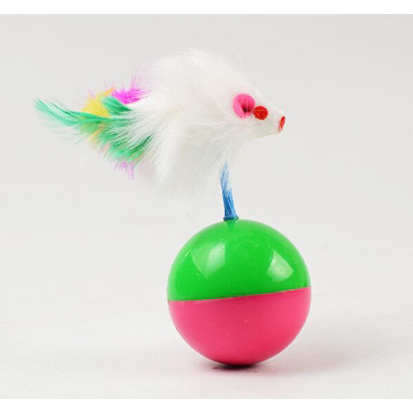 Acousticworld Köpek Oyuncakları