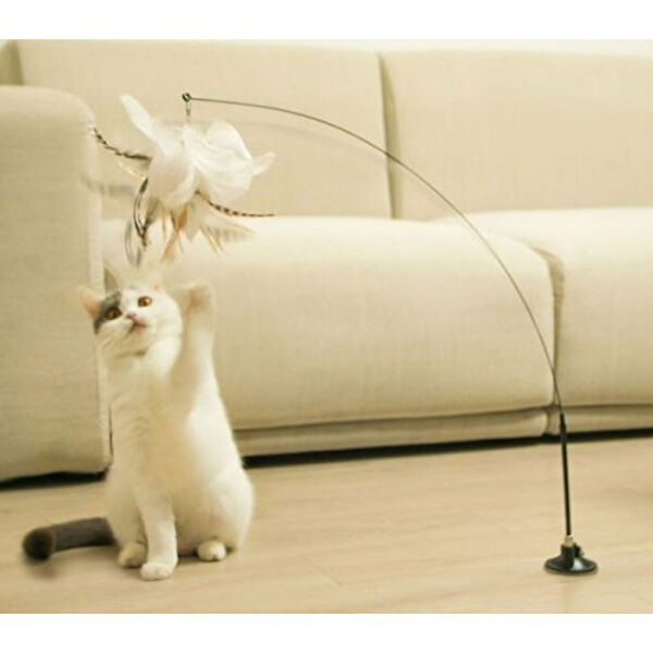 Acousticworld Kedi Oyuncakları