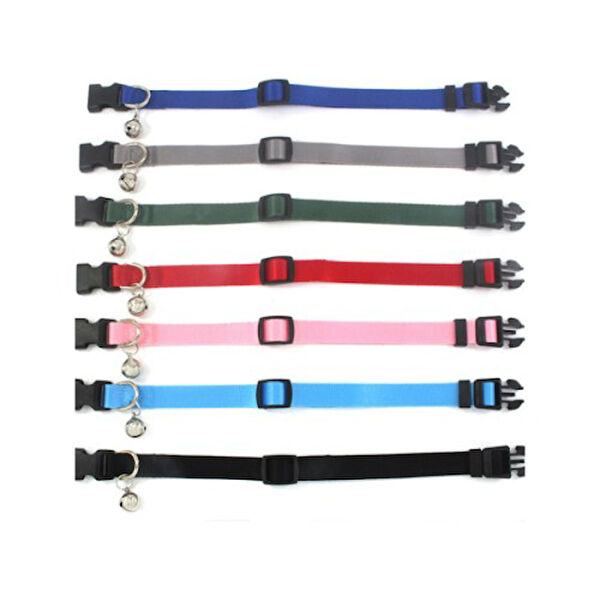 Acousticworld Kedi Tasmaları ve İsimlikler