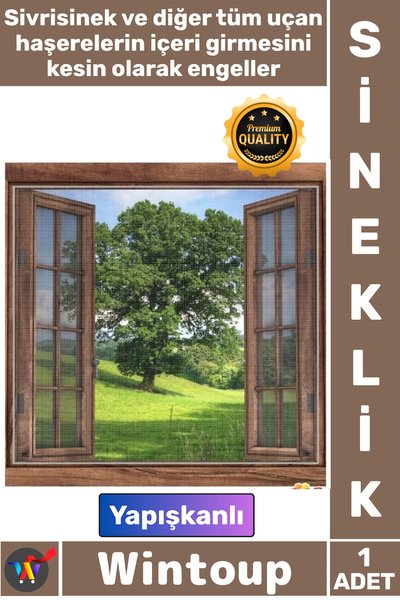 Wintoup Sineklik