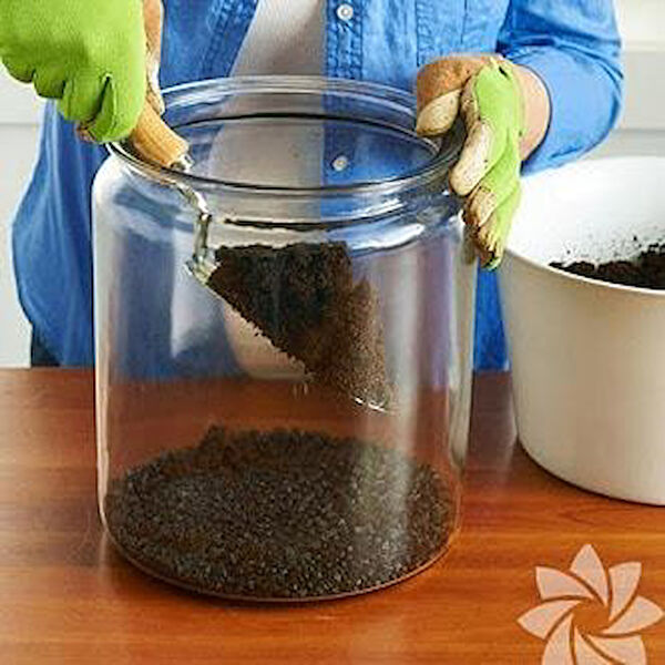 Berke Fidancılık Bitki Vitamini, Besini